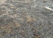 Satılır 30 sot torpaq Xaşaxuna