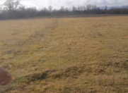 Satılır 35 sot torpaq Qəbələ