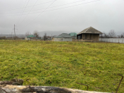 Satılır 30 sot torpaq Qəbələ