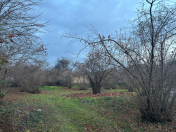 Satılır 51 sot torpaq Qəbələ