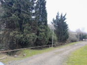 Satılır 13 sot torpaq Lənkəran