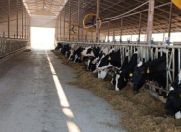 Satılır 3 otaqlı 3000 m2 obyekt Şamaxı