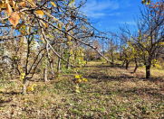 Satılır 17 sot torpaq Bərdə