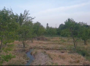 Satılır 25 sot torpaq Göyçay