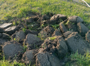 Satılır 63 sot torpaq Xaçmaz