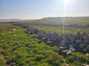 Satılır 233 sot torpaq Novxanı