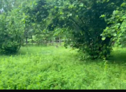 Satılır 4 otaqlı 100 m2 həyət evi Balakən