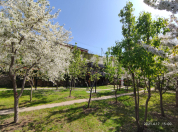 Satılır 20 sot torpaq 9 mkr