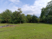 Satılır 11 sot torpaq Qəbələ