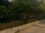 Satılır 4 otaqlı 100 m2 həyət evi Sabunçu