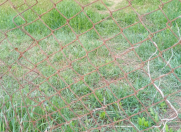 Satılır 100 sot torpaq Ramana