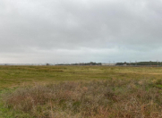 Satılır 500 sot torpaq Hökməli