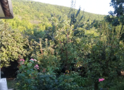 İcarəyə verilir 4 otaqlı 100 m2 bağ evi Şəki