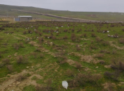 Satılır 13 sot torpaq Novxanı