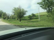 Satılır 35 sot torpaq Şamaxı