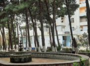 Satılır 3 otaqlı 117 m2 yeni tikili Əhmədli