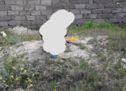 Satılır 6 sot torpaq Albalı