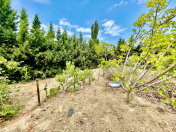 Satılır 6 sot torpaq Görədil