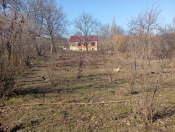 Satılır 6 sot torpaq Quba