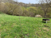 Satılır 47 sot torpaq İsmayıllı