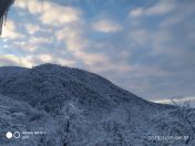 Satılır 3 sot torpaq Qəbələ