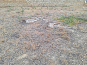 Satılır 1500 sot torpaq Sumqayıt