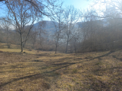 Satılır 14 sot torpaq Quba