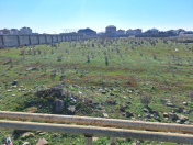 Satılır 26 sot torpaq Novxanı