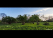 Satılır 86 sot torpaq Oğuz