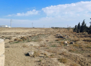 Satılır 500 sot torpaq Perekeşkül