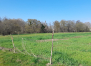 Satılır 6 sot torpaq Xaçmaz