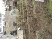 Satılır 3 sot torpaq Rəsulzadə