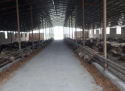 Satılır 10 otaqlı 2000 m2 obyekt Xaçmaz