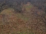 Satılır 9.27 sot torpaq Qax