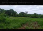 Satılır 5 sot torpaq Qusar