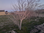 Satılır 18 sot torpaq Türkan