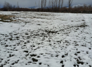 Satılır 71 sot torpaq Qəbələ