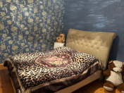 Satılır 4 otaqlı 100 m2 həyət evi Alatava 2