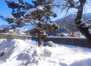 Satılır 6 sot torpaq Şəki