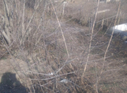 Satılır 12 sot torpaq Xudat