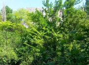 Satılır 4 otaqlı 121 m2 köhnə tikili Əhmədli