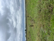 Satılır 600 sot torpaq Xaçmaz