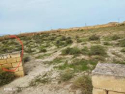 Satılır 10 sot torpaq Qış parkı