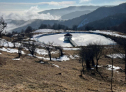 Satılır 1100 sot torpaq Şamaxı