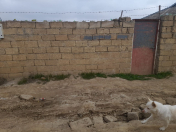 Satılır 2 sot torpaq Sulutəpə