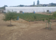 Satılır 25 sot torpaq Sumqayıt