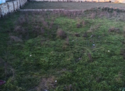 Satılır 11 sot torpaq Nardaran