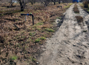 Satılır 220 sot torpaq Xaçmaz