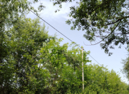 Satılır 74 sot torpaq Oğuz