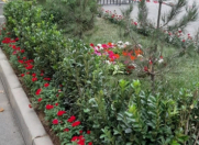 Satılır 4 otaqlı 110 m2 köhnə tikili Yeni Yasamal